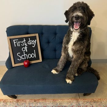 488265779_1197388199053757_7611792742953313836_n